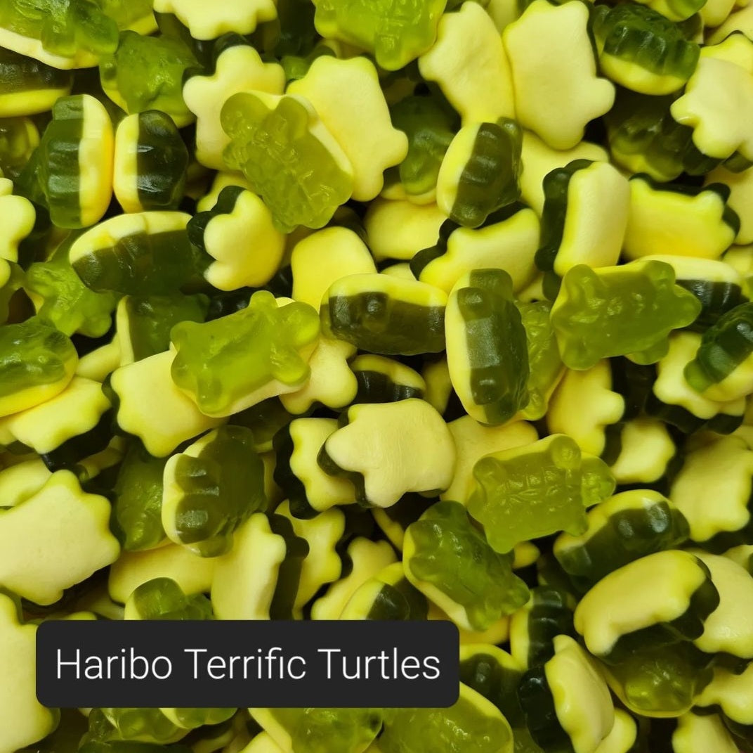 Terrific Turtles