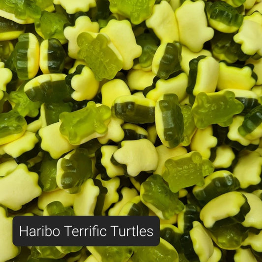 Terrific Turtles